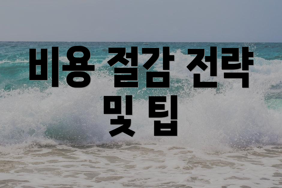 비용 절감 전략 및 팁
