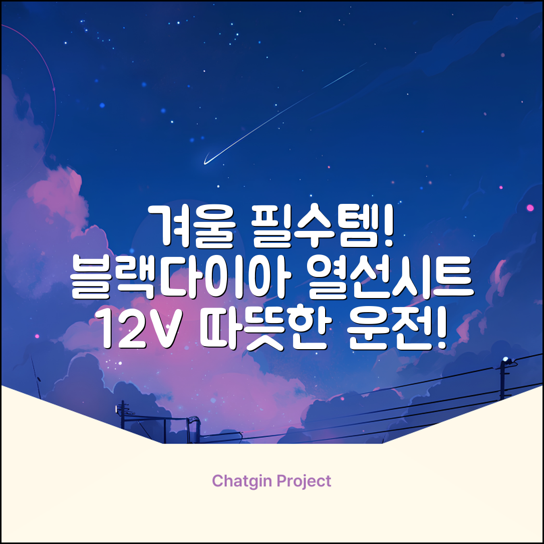 블랙다이아 차량용 열선시트 (1P) 털 겨울 히팅 전기시트, 1개, 12V (운전/조수석) 추천 리뷰