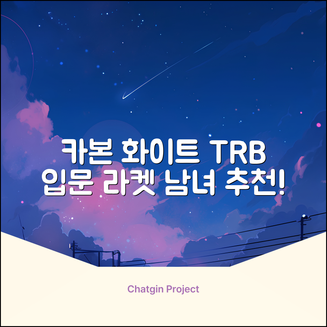 티알비 입문용 테니스라켓 여성 남자, 1개, 카본 화이트 추천 리뷰