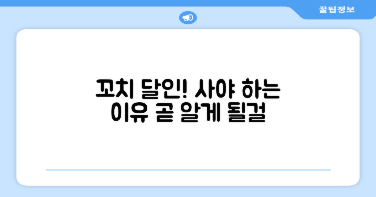 꼬치의달인, 왜 사야 할까?