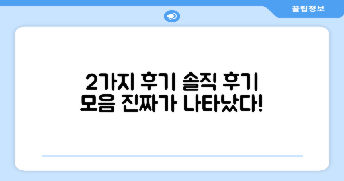 2가지 사용자 후기