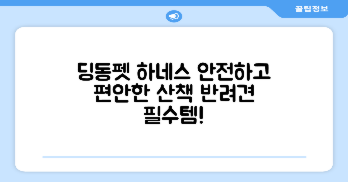 딩동펫 하네스, 더욱 안전하고 편안한 산책