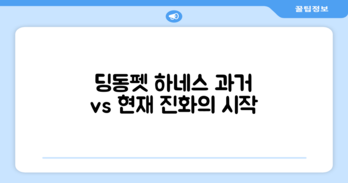 딩동펫 하네스, 과거와 현재