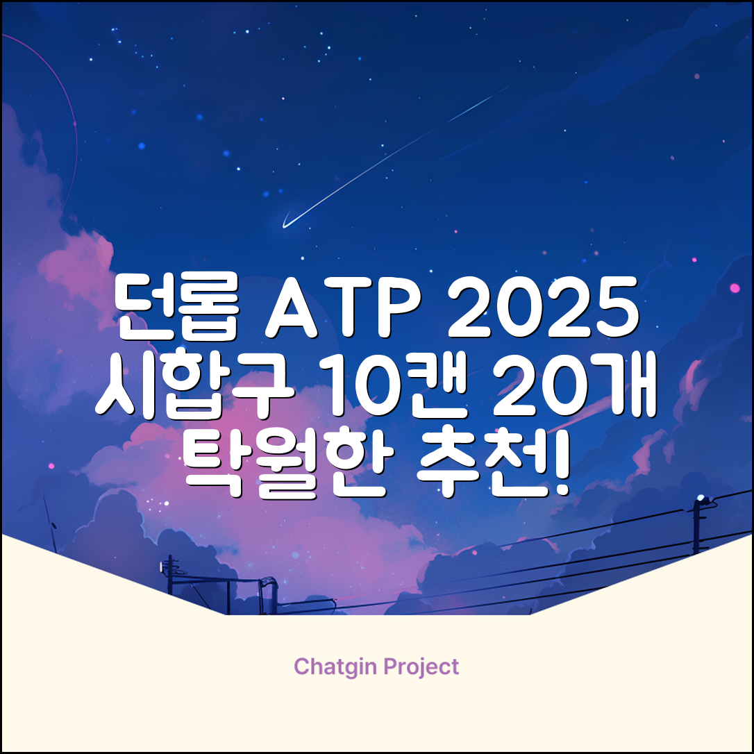2025 던롭 ATP 테니스공 10캔 (20볼) 시합구, 던롭 ATP볼 10캔 (20볼), 10세트 추천 리뷰
