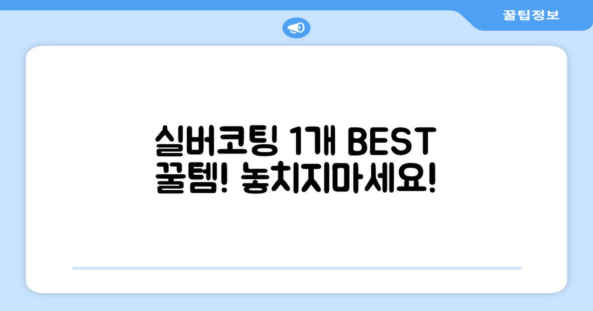 실버코팅 1개 추천