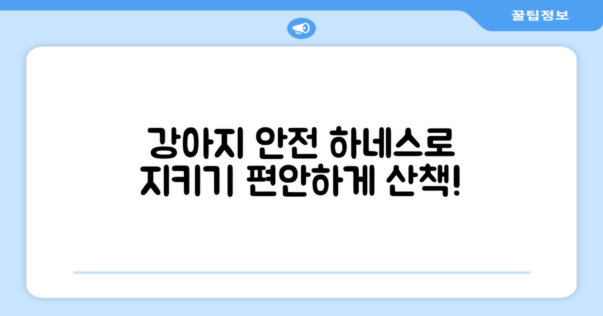 강아지 안전, 하네스로 지키기