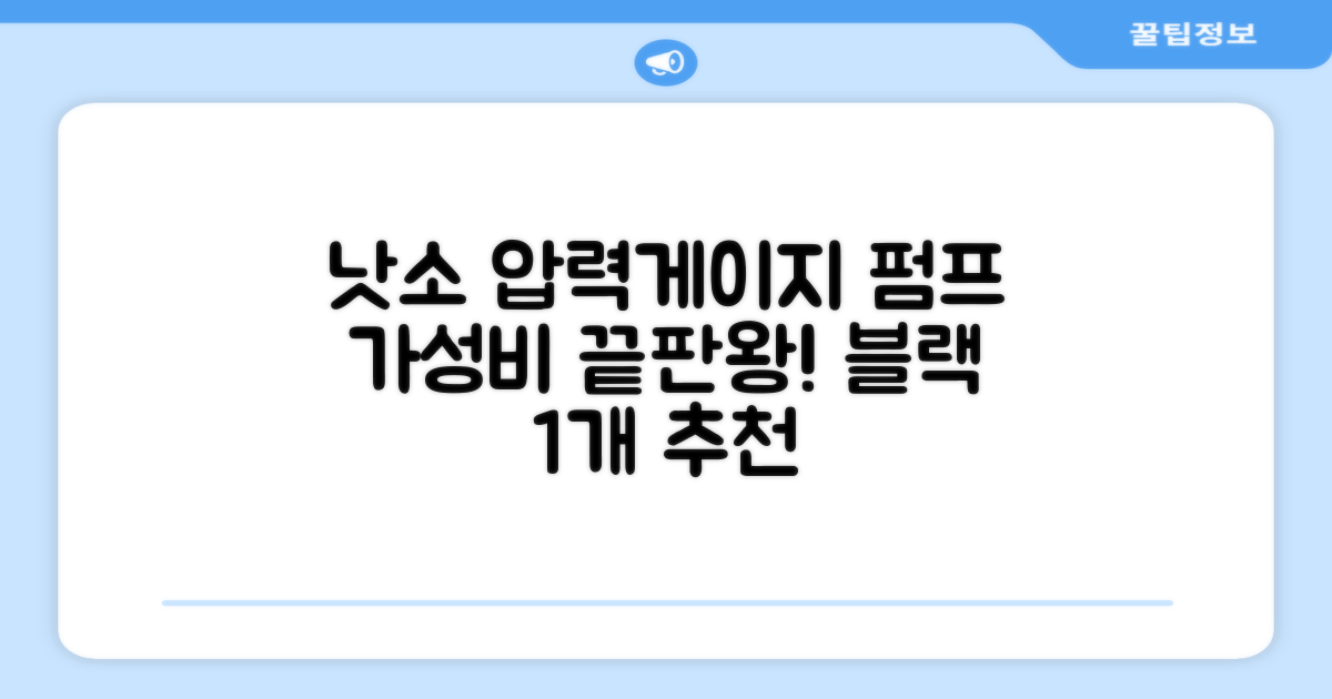 낫소 양방향 압력게이지 펌프, 블랙, 1개 추천 리뷰