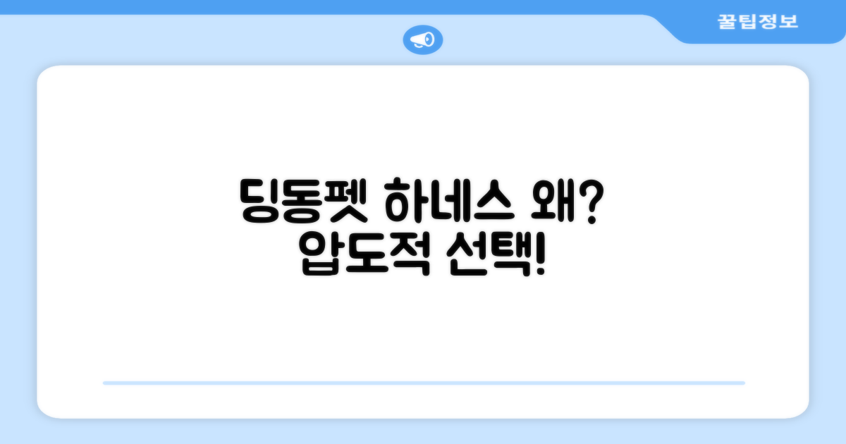 왜 딩동펫 하네스일까?