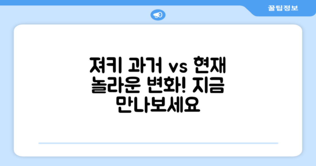 져키, 과거와 현재의 비교