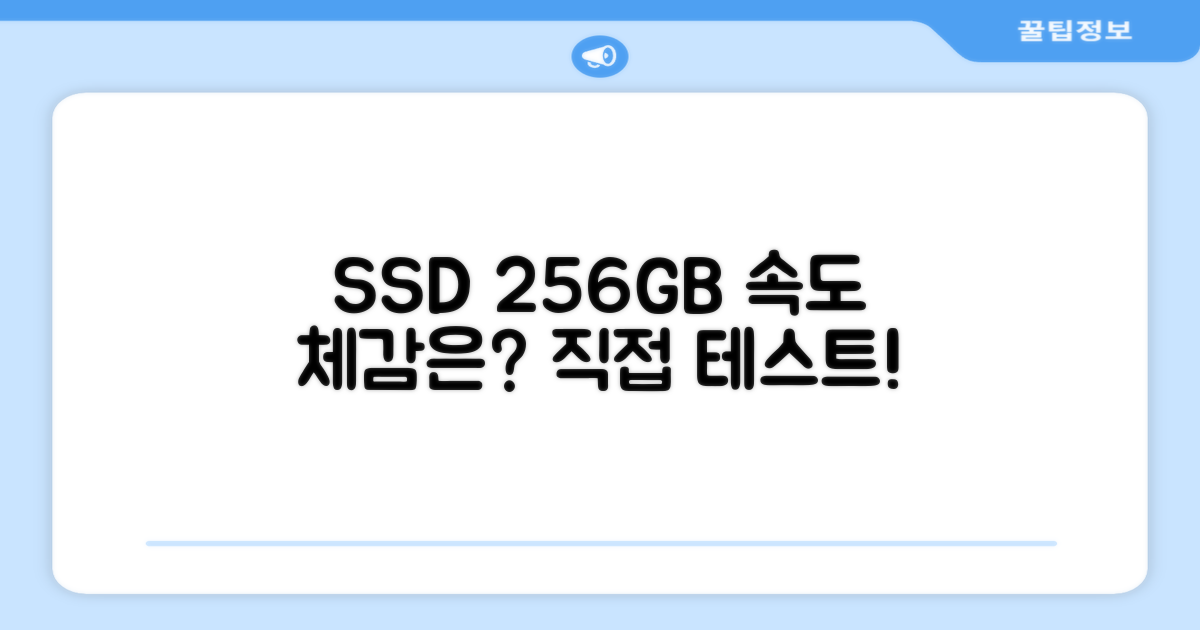 256GB SSD, 속도는 어떨까?