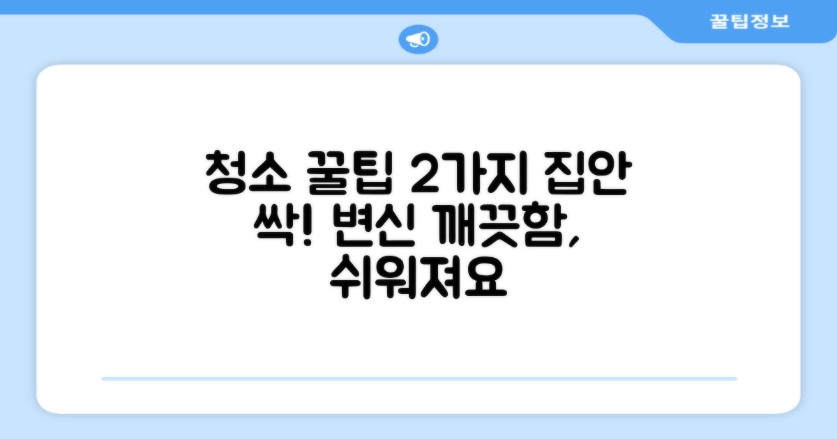 2가지 청소 팁