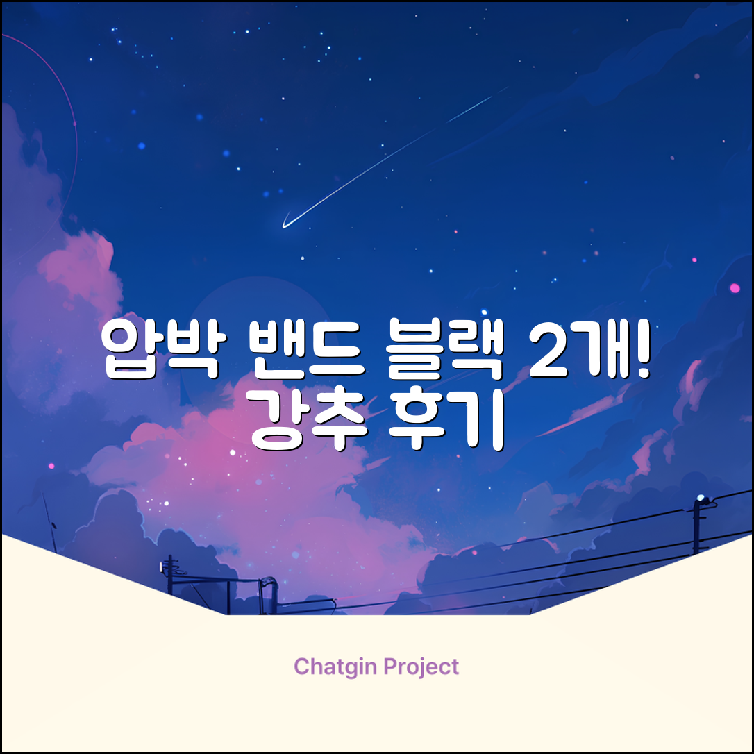 라인벨라 의료용 손목 압박용 밴드 블랙, 2개 추천 리뷰