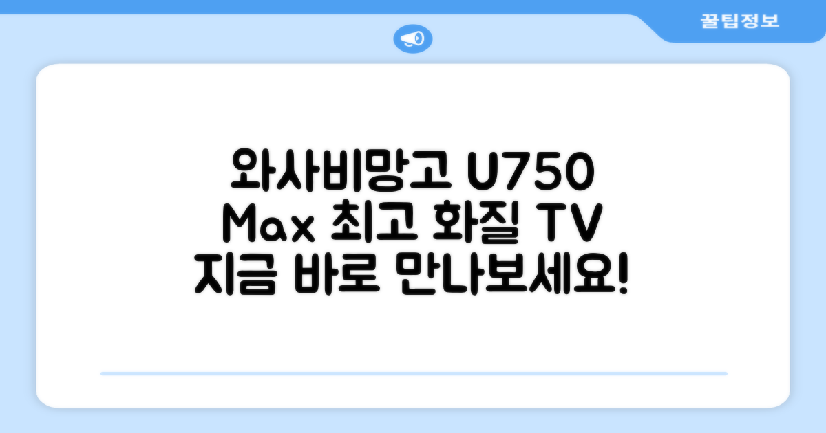 와사비망고 U750 Max TV 추천