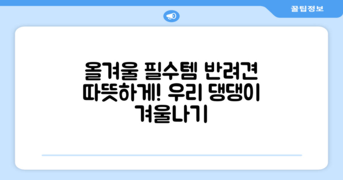올겨울, 반려견 따뜻하게!