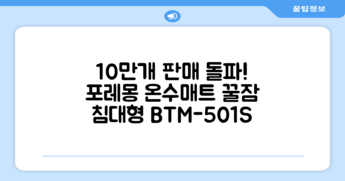 [10만개 판매돌파] 포레몽 온수매트 침대형 BTM-501S, 미니(800x1800mm) 추천 리뷰