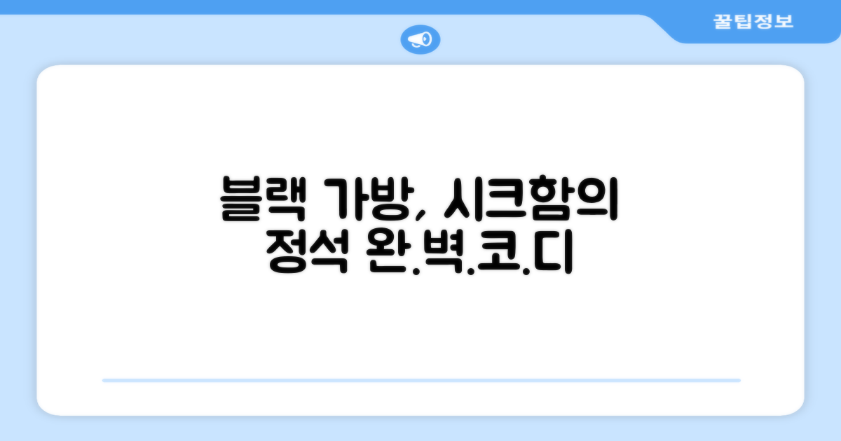 블랙 가방, 세련됨은?