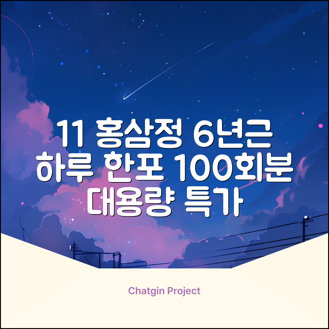 [1+1 특가] 홍삼정 6년근 하루한포 100회분 대용량+쇼핑백, 2개, 1L 추천 리뷰
