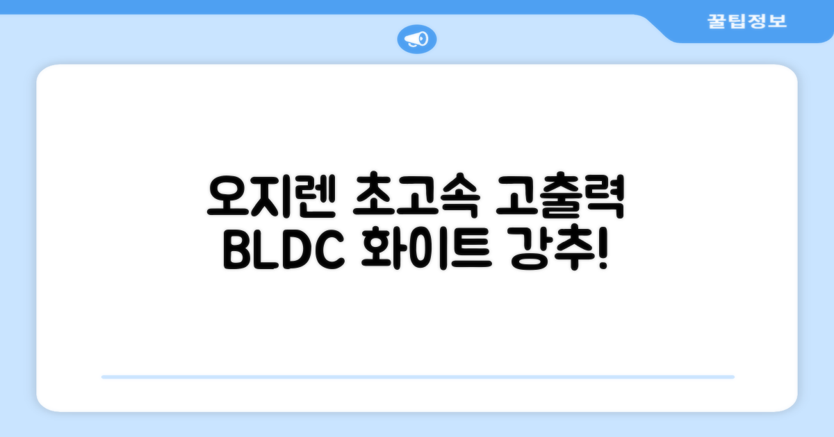 오지렌 초고속 고출력 초경량 음이온 BLDC 모터 헤어 드라이기, 화이트 추천 리뷰