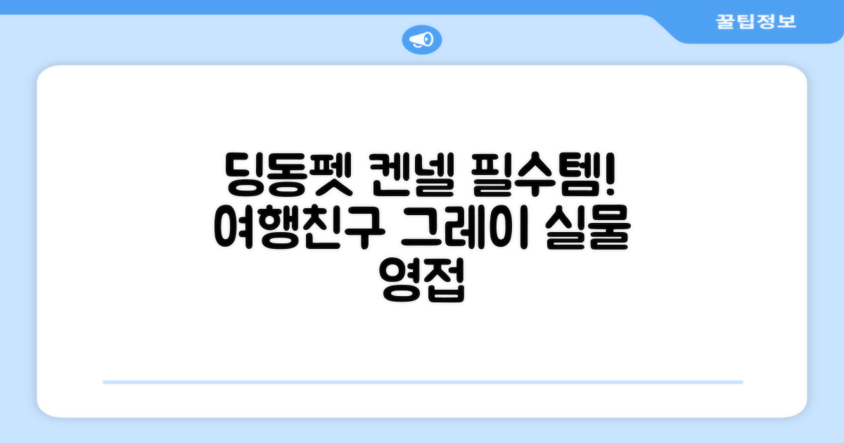 딩동펫 반려동물 나들이 하드켄넬, 그레이, 1개 추천 리뷰
