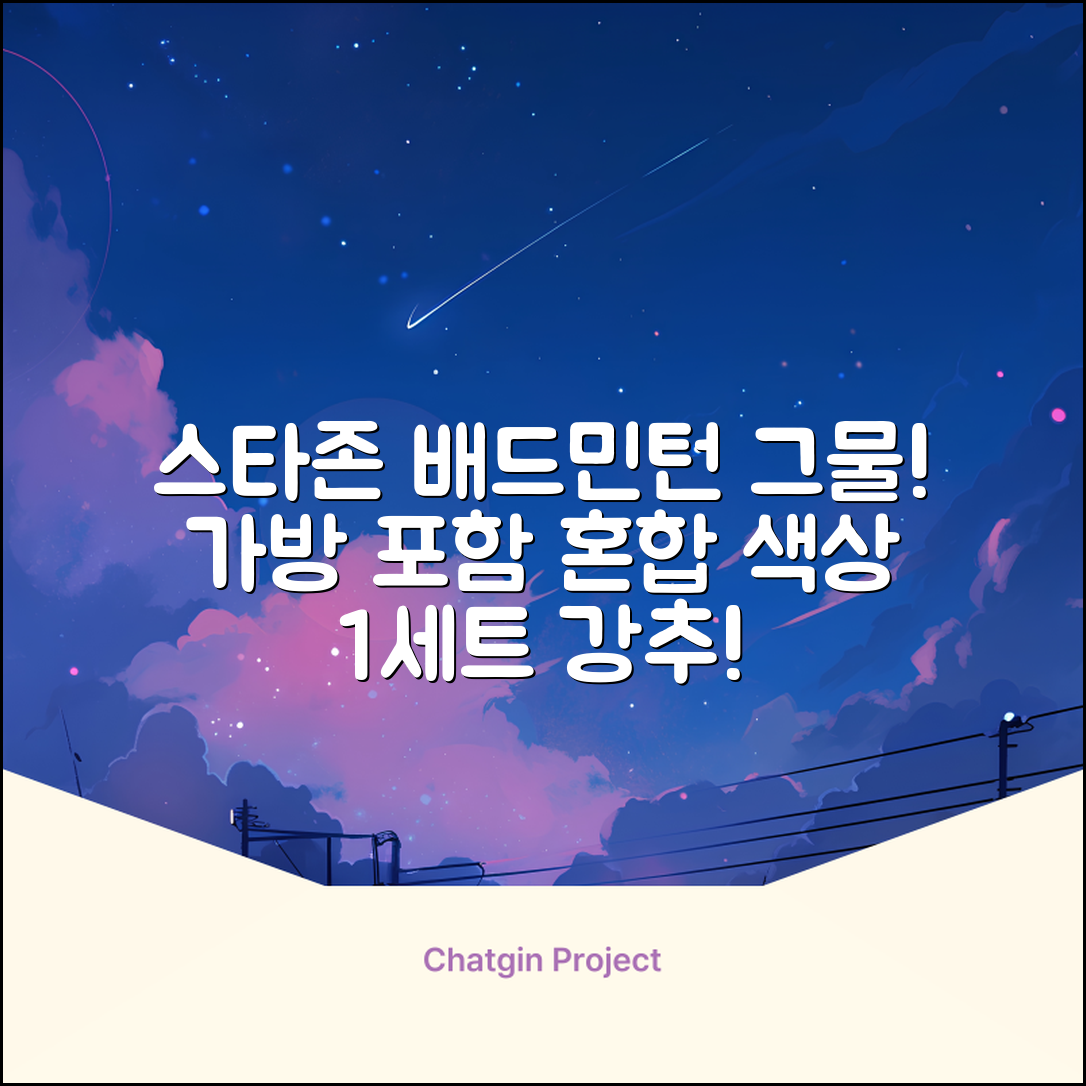 스타존 배드민턴 그물 네트 + 가방, 혼합색상, 1세트 추천 리뷰