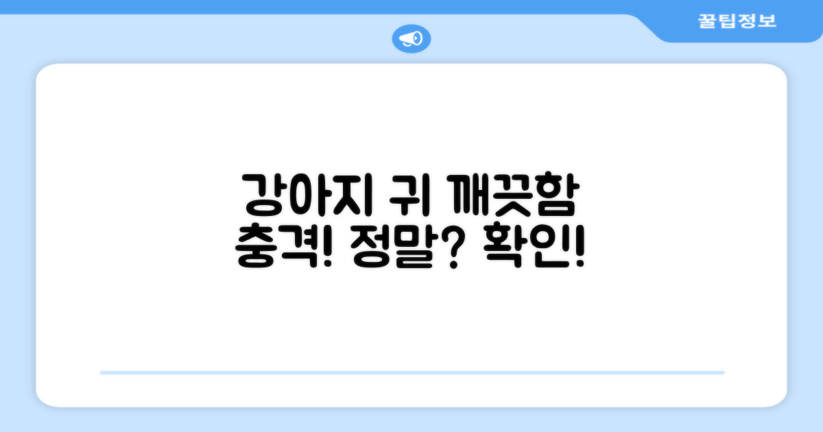 강아지 귀, 정말 깨끗한가요?