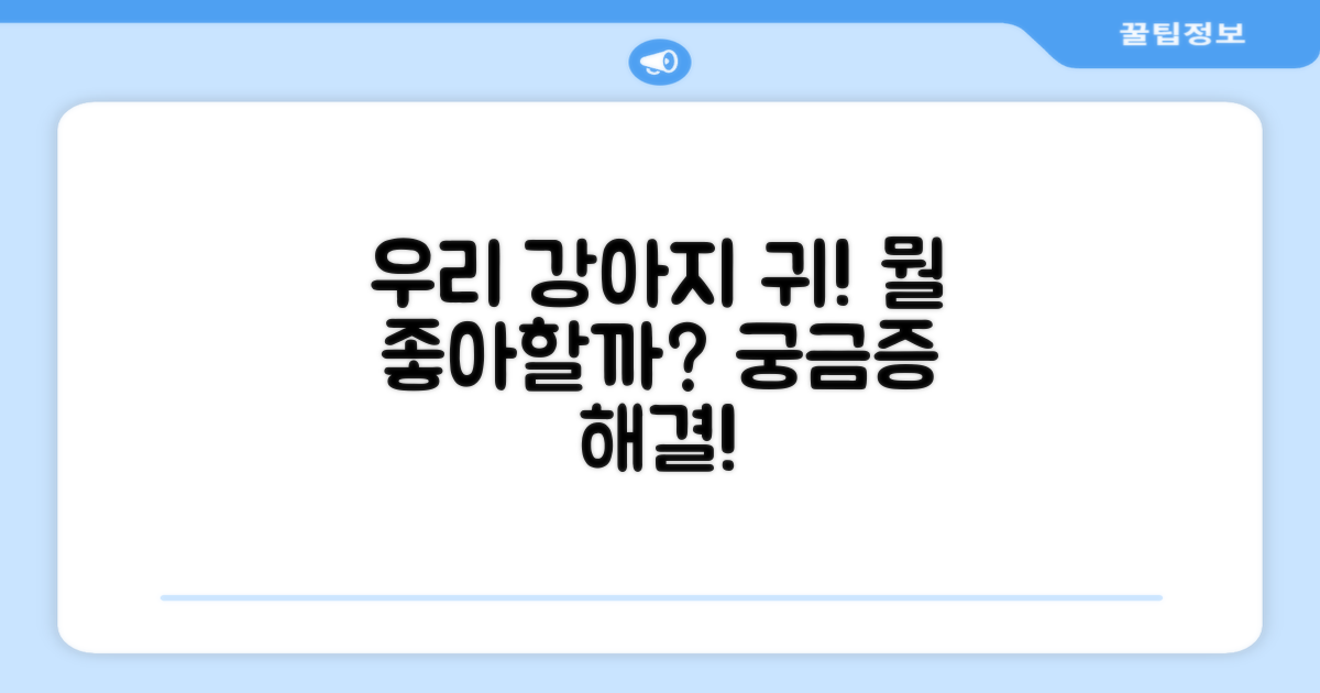 우리 강아지 귀, 뭘 좋아할까요?
