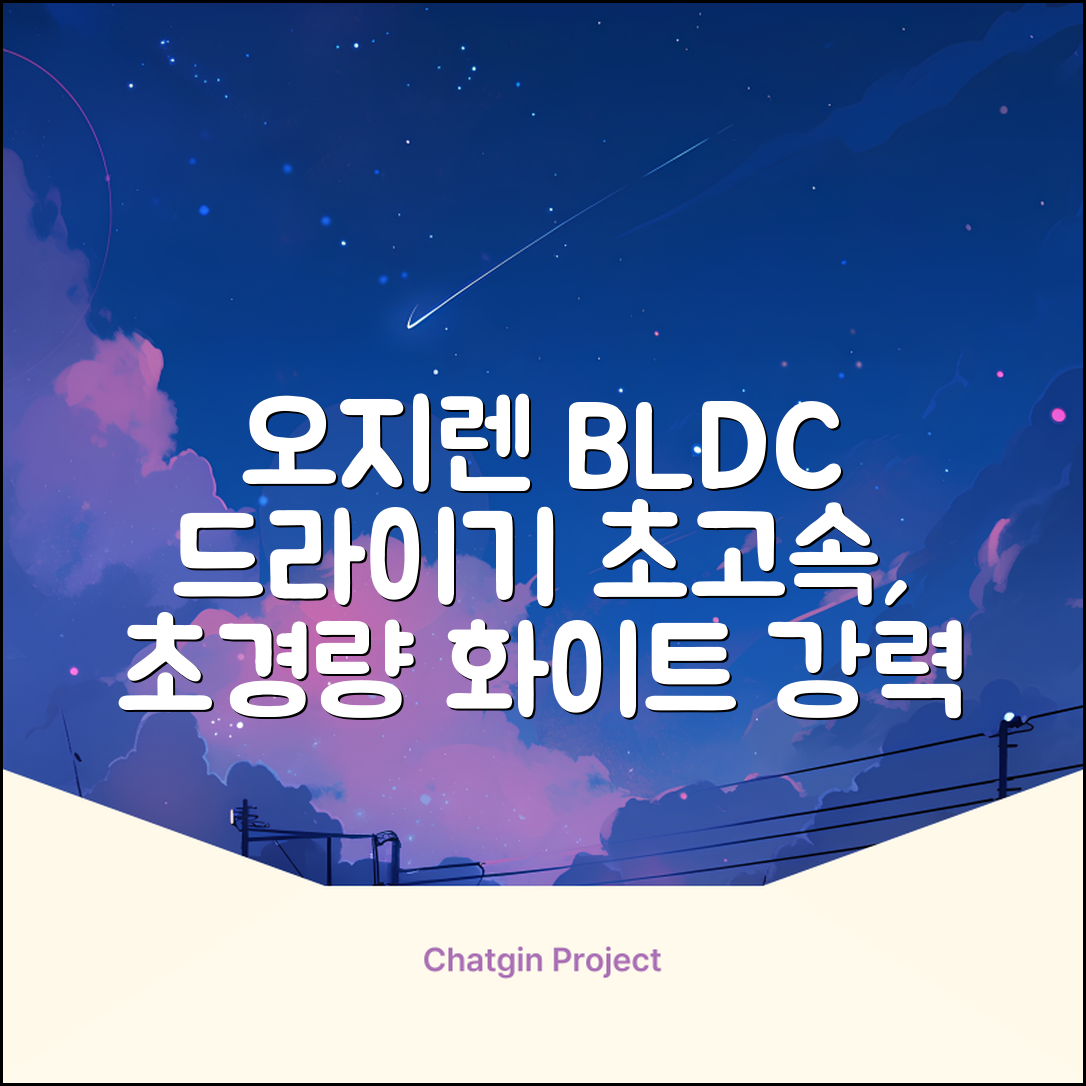오지렌 초고속 고출력 초경량 음이온 BLDC 모터 헤어 드라이기, 화이트 추천 리뷰