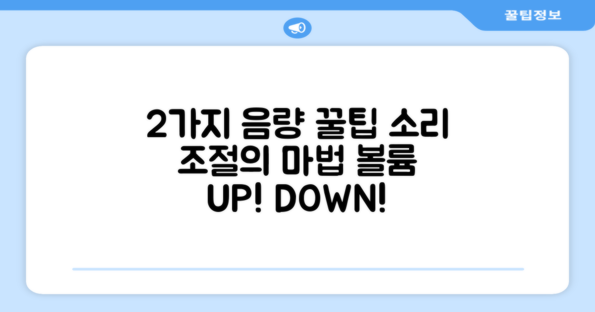 2가지 음량 조절