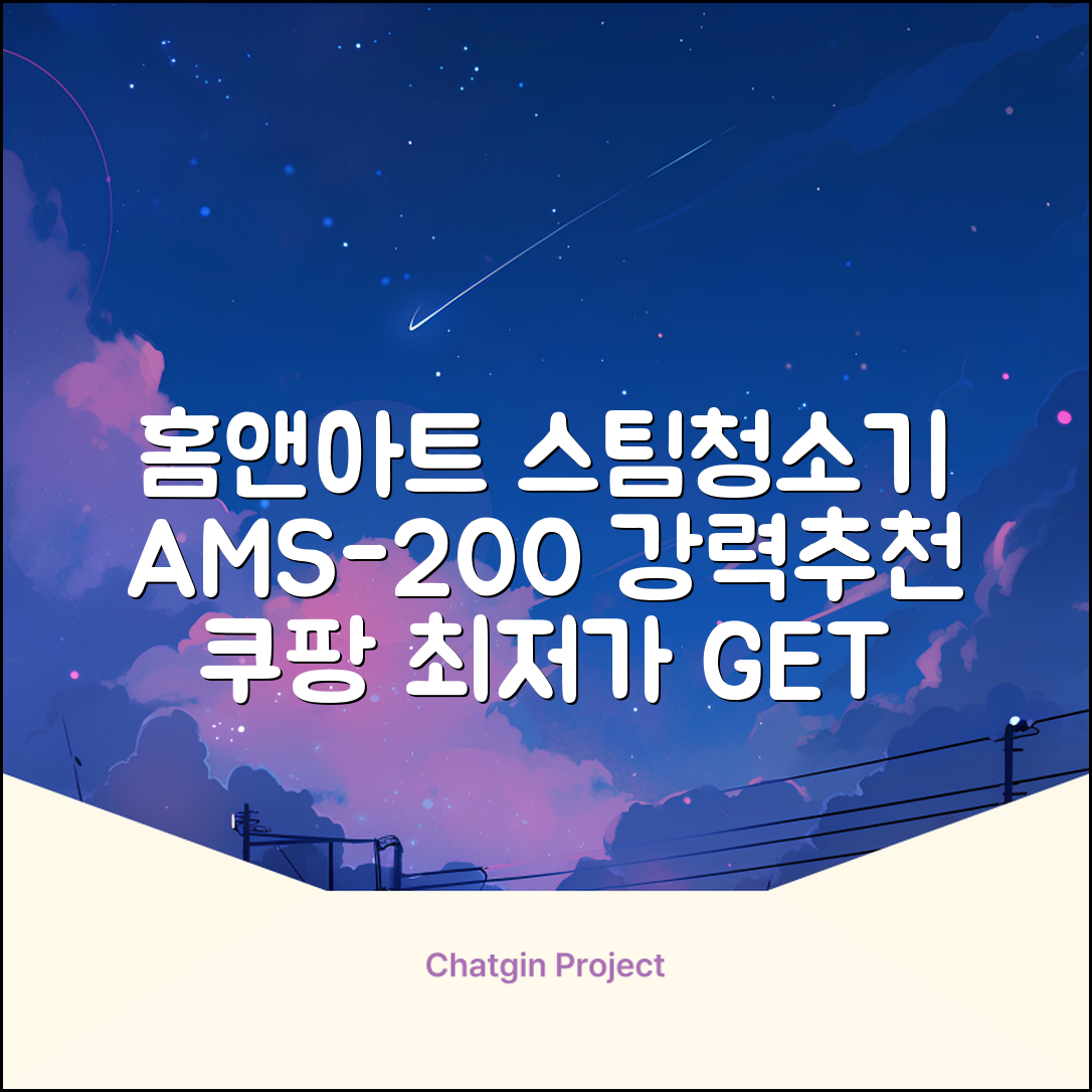 홈앤아트 퓨어 스팀청소기 AMS-200 추천 리뷰