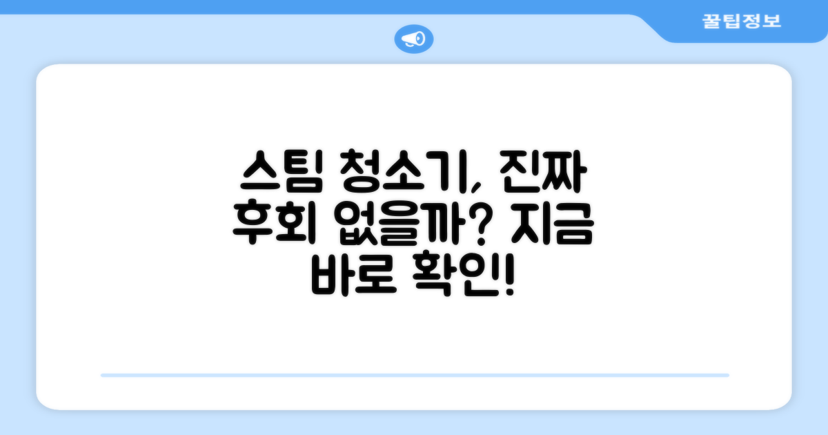 스팀 청소기, 후회 없을까?