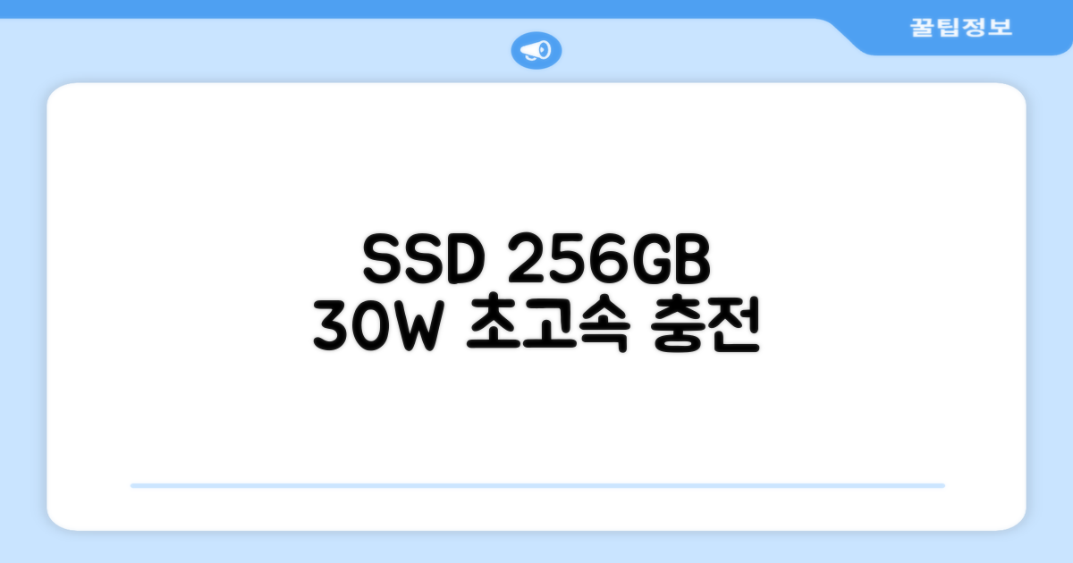 256GB SSD, 30W 충전 속도