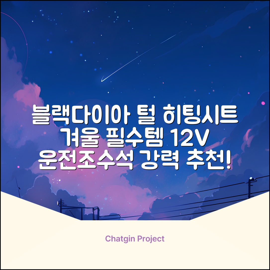 블랙다이아 차량용 열선시트 (1P) 털 겨울 히팅 전기시트, 1개, 12V (운전/조수석) 추천 리뷰