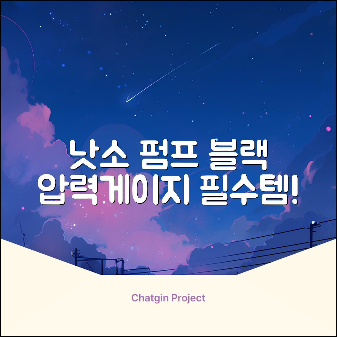 낫소 양방향 압력게이지 펌프, 블랙, 1개 추천 리뷰