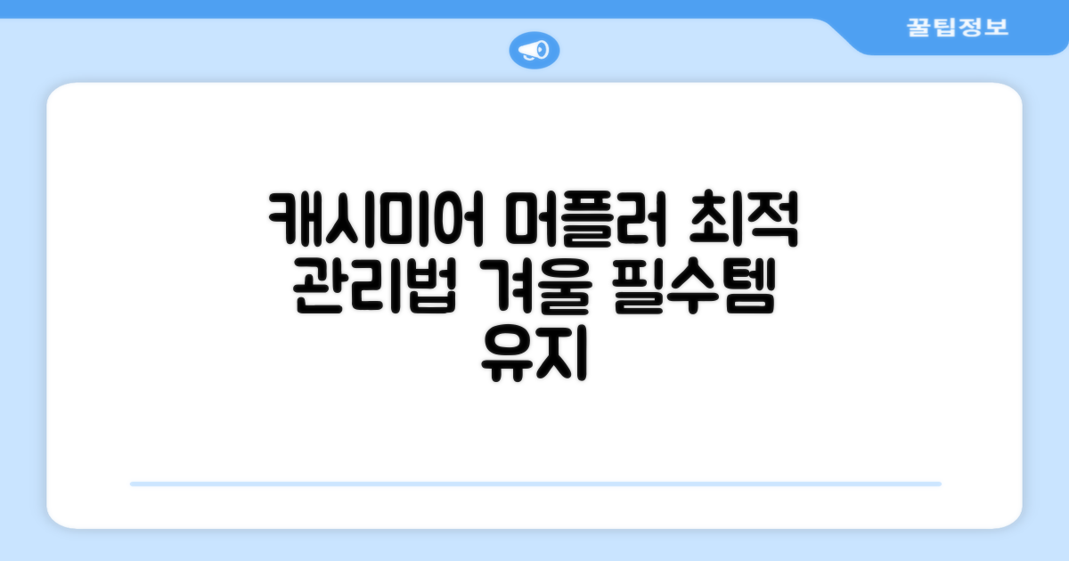 캐시미어 머플러, 이렇게 관리하세요