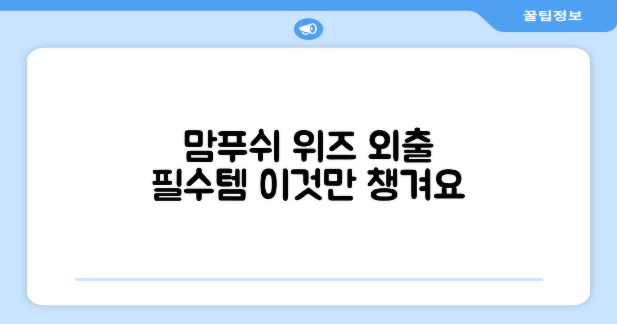 외출 시 필수템, 맘푸쉬 위즈