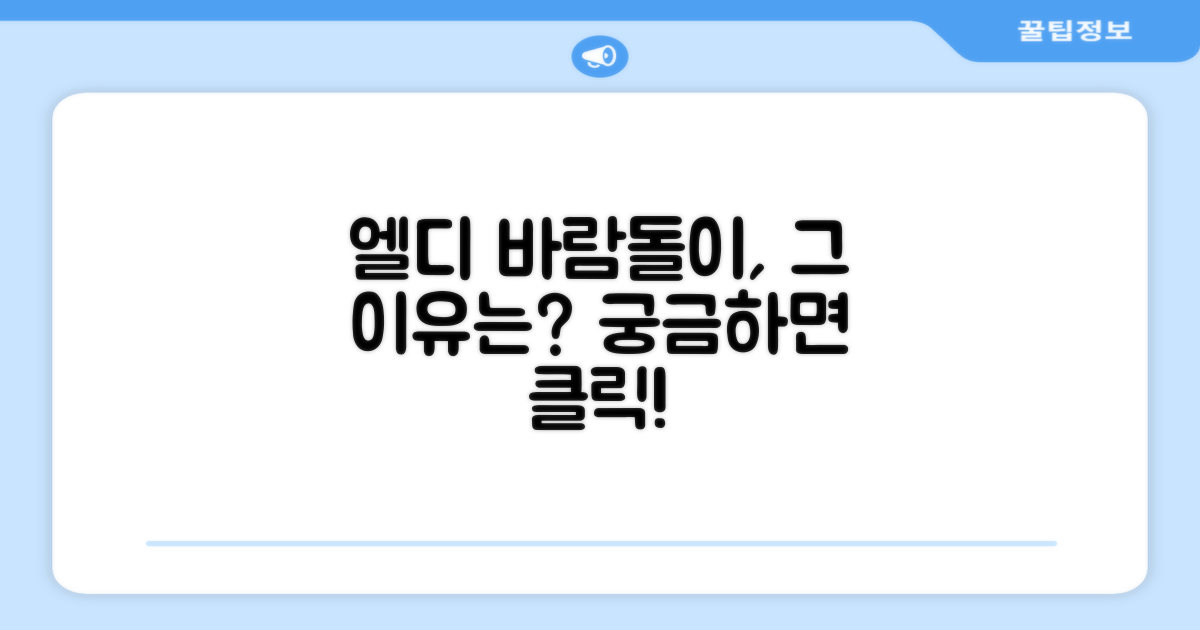 왜 엘디 바람돌이일까요?